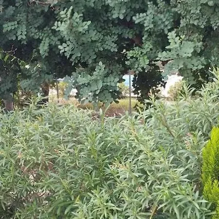 Queen Eyridiki Luxury 1 * Paphos