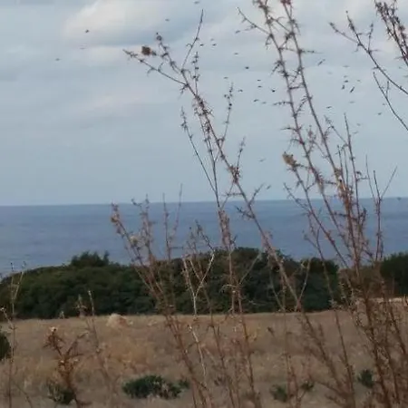 Queen Eyridiki Luxury 1 * 파포스