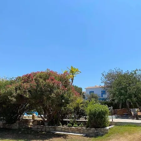 Villa Queen Eyridiki Luxury 1 Pafos