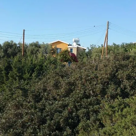 Queen Eyridiki Luxury 1 Villa Paphos