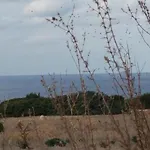 Queen Eyridiki Luxury 1 * Paphos