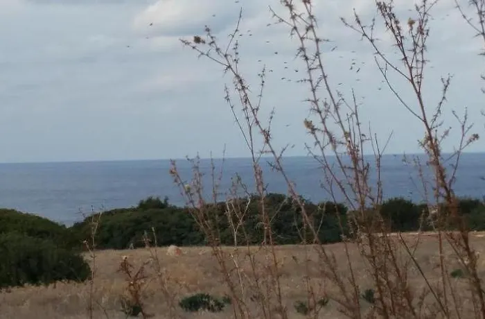 Queen Eyridiki Luxury 1 * Paphos