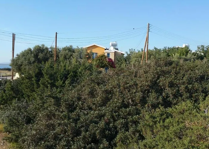 Queen Eyridiki Luxury 1 Villa Paphos